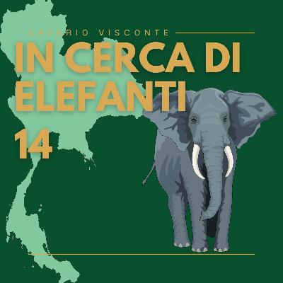 14 - In cerca di Elefanti in Thailandia 🐘🇹🇭 14 - In cerca di Elefanti in Thailandia 🐘🇹🇭