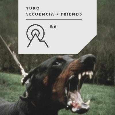 S3R56 - Secuencia X Friends – YUKO