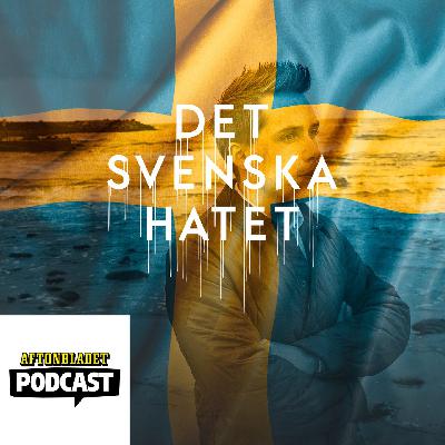 Del 33 William Petzäll död – SD:s fasad börjar spricka