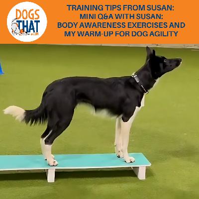Training Tips From Susan: Mini Q&A With Susan: Body Awareness Exercises And My Warm-Up For Dog Agility