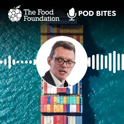 Pod Bites: How global conflicts impact food prices