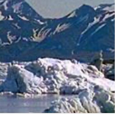 Tundra adaptations and tundra itself.