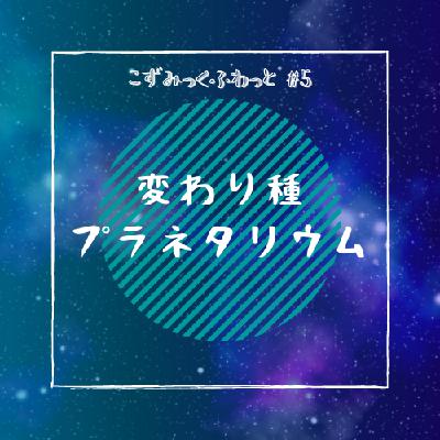 #5 変わり種 プラネタリウム