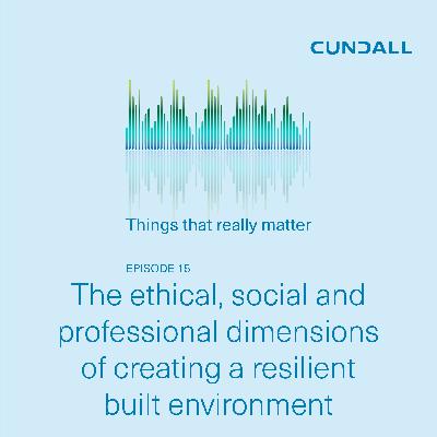 The ethical, social and professional dimensions of creating a resilient built environment