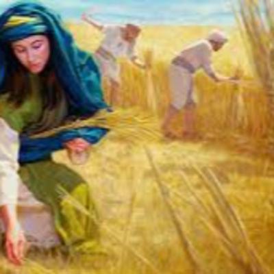 (廣、繁) 天天「靈」 聽👂🏻🕊 2025年11月19日(三) ✨路得記 2:1-23 拾穗遇恩，田間蒙福✨