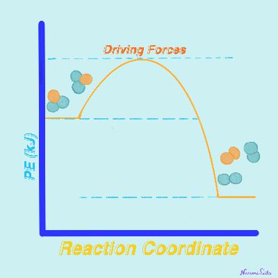 Sally B Explains Chemistry - Episode 4 "Driving Forces"