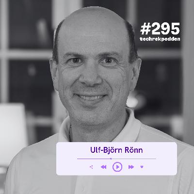 295. När teknik och affär möts i ERP med Ulf-Björn