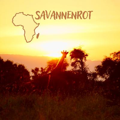 Auf Reisen durch Ghana mit Sarah Auf Reisen durch Ghana mit Sarah