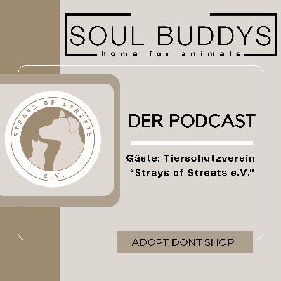 #21 zu Gast: Strays of Streets e.V. - Teil 1