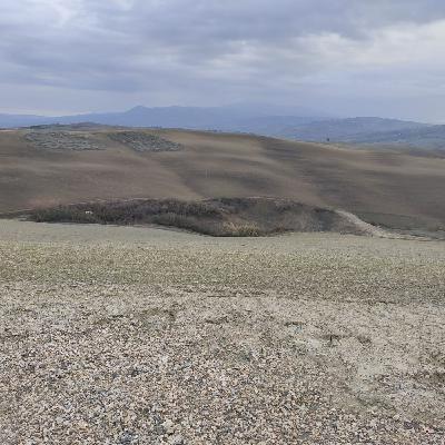 Meditazione sul filo d'erba