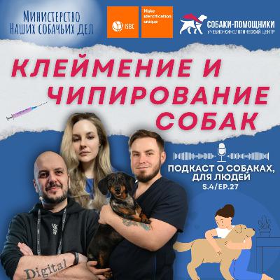 Зачем животным устанавливают чипы? Кто и для чего наносит клеймо? Ветрвач и компания ISBC
