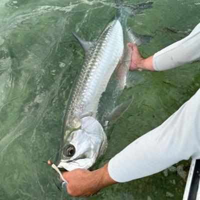 May/Keys Recap and June is off to a great start unless you’re looking for shrimp.