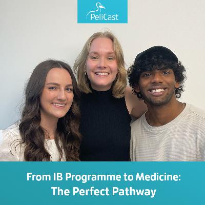 From IB Programme to Medicine: The Perfect Pathway