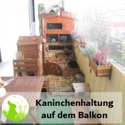 Kaninchenhaltung auf dem Balkon