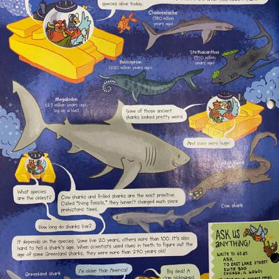 Episode #1: Sharks Episode #1: Sharks