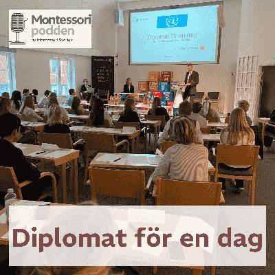 Diplomat för en dag