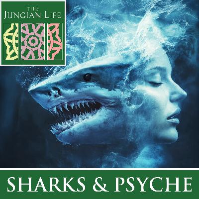 SHARK: Elemental Symbol of Our Will to Survive and Ravenous Hunger for Experience