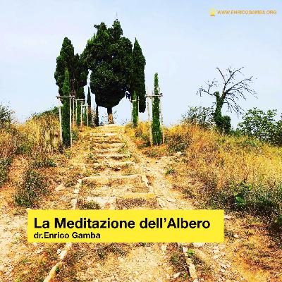 La Meditazione dell'Albero