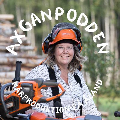 Kreativt skogsbruk med Pernilla Weckman på Jussböle Gård