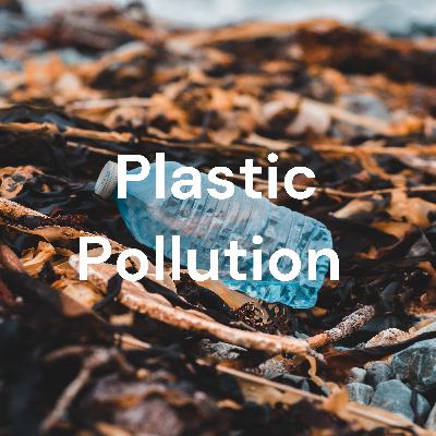 Plastic Pollution and Ways to stop plastic waste/plastic pollution
