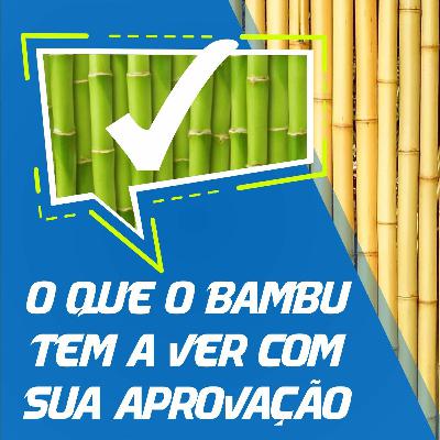 🔵 35 - O Que O Bambu Tem A Ver Com Sua Aprovação