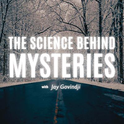 Ep. 5 - The Enigma of the Hessdalen Lights: A Scientific Investigation 2 w/ Dr. Erling Strand
