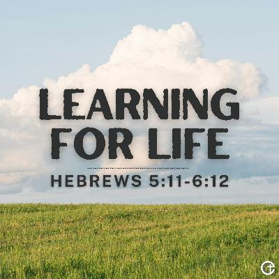 Learning For Life | Hebrews 5:11-6:12 | Will Brady Learning For Life | Hebrews 5:11-6:12 | Will Brady
