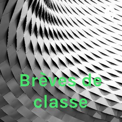 29 Mers et océans avec Elise Dallier