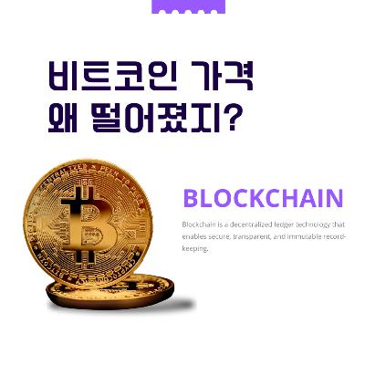 181화. 비트코인 왜 떨어졌지?