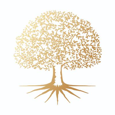 ¿Cuáles fueron las creencias que guiaron tu vida hasta hoy?