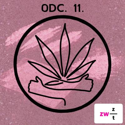 E11: Zaskakujące fakty o amfetaminie E11: Zaskakujące fakty o amfetaminie