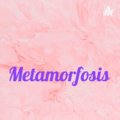 Resumen de metamorfosis