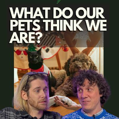 🐶 What Do Our Pets Think We Are? | AI, Bees & Rainbows – ANMAN #18