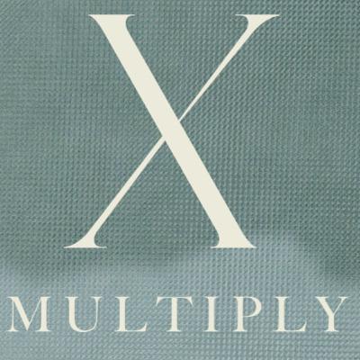 The Unstoppable Revolution - X Multiply - Joey McLaughlin