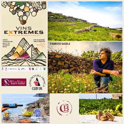 Le Terre del Vino: VINS EXTREMES - FABRIZIO BASILE, da Pantelleria Tradizioni tenaci e forti emozioni!