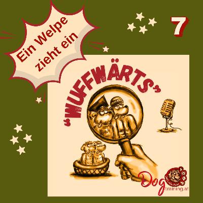 Ein Welpe zieht ein - was du in den ersten Tagen wirklich brauchst