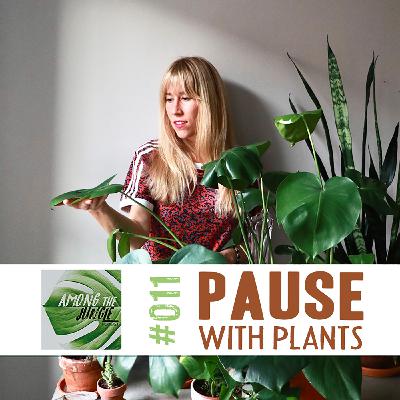Connect, Move & Meditate with Plants with Brittany Gowan