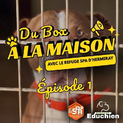 Du BOX à la MAISON - Épisode 1