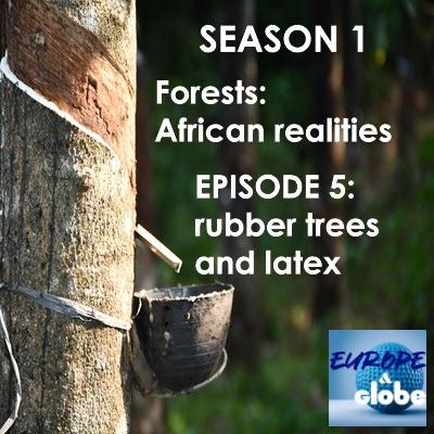 Forests: African realities - Episode 5: Rubber