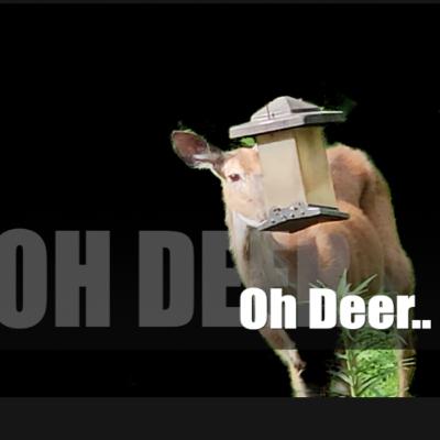 Oh Deer