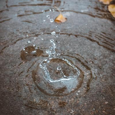 Rain Falling On Concrete: 8-Hour Tranquil Rain Soundscape for Relaxation, Studying & Sleep