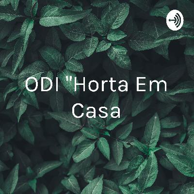 Dicas e perspectivas aos docentes para auxiliar os estudantes na implementação de hortas