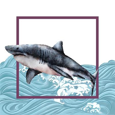 {The Wonder Files} The Bronze Whaler {The Wonder Files} The Bronze Whaler
