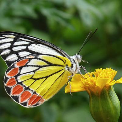 163 Existencialismo, cercanías, y tecnología, con el Dr. Héctor José Huyke
