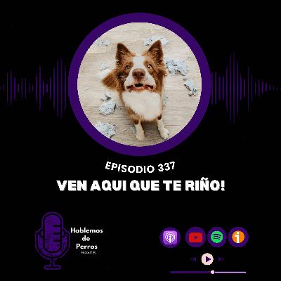 EP#337: Ven aquí que te riño