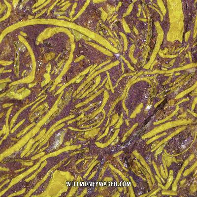 WM-557: The Beauty of Abstract Photography | Photography Clips Podcast