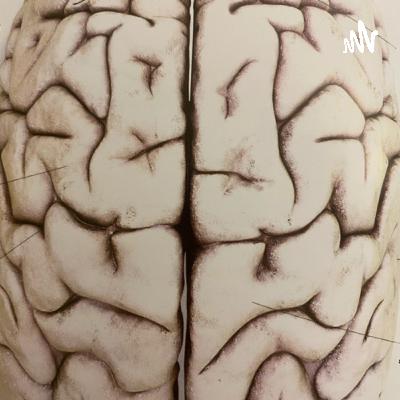 Explanation of Brain function by Deniz (Trailer)