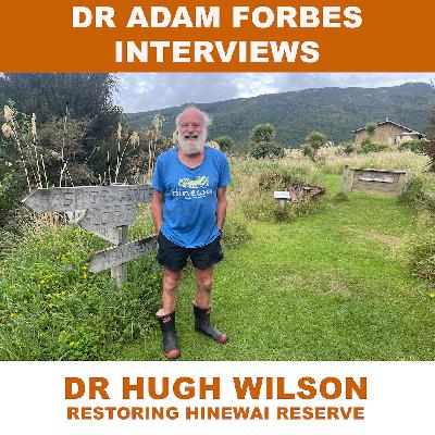Let Nature Lead: Dr Hugh Wilson on Restoring Hinewai Reserve