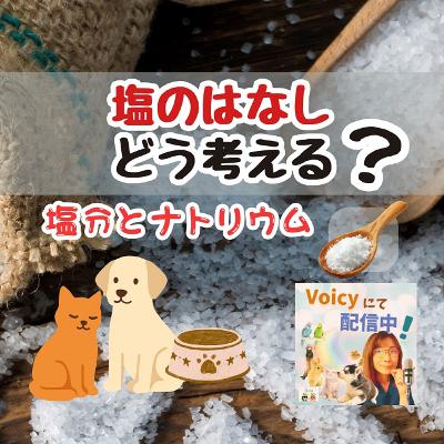 一般公開LIVE🍀塩のはなし❗どう考える❓🐶🐱