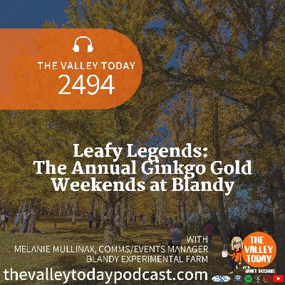 Leafy Legends: The Annual Ginkgo Gold Weekends at Blandy
